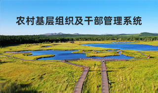 農村干部管理系統